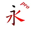 Chinese character stroke Pro App Feedback