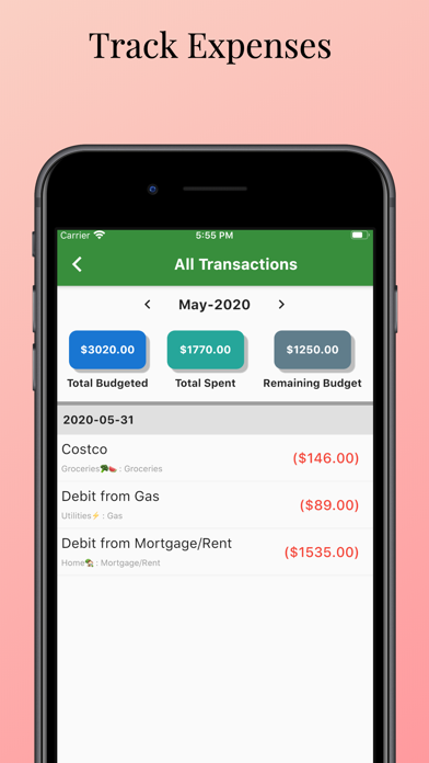 Budget Everything screenshot