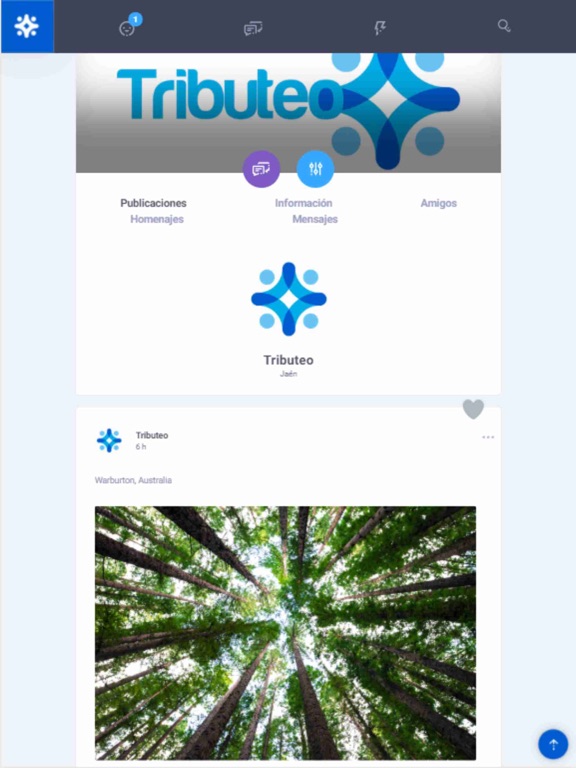 Screenshot #6 pour Tributeo