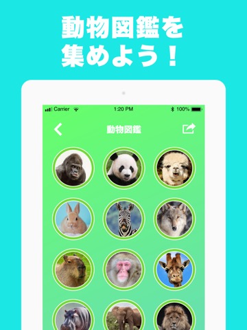 似てる動物を診断 顔診断アプリ どうぶつカメラ! AIが判定のおすすめ画像3