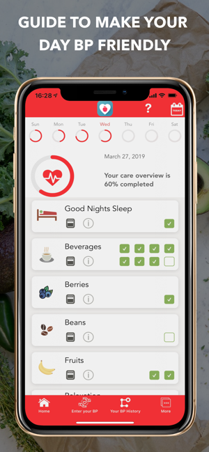 BP Healthy, Lower BP Naturally