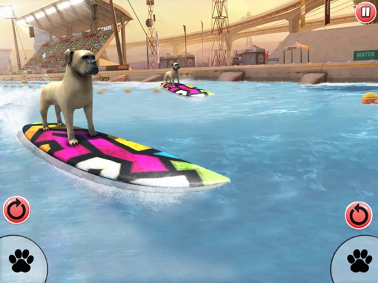 Screenshot #5 pour Dog Surfing Championship 2020