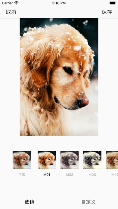 App screenshot
