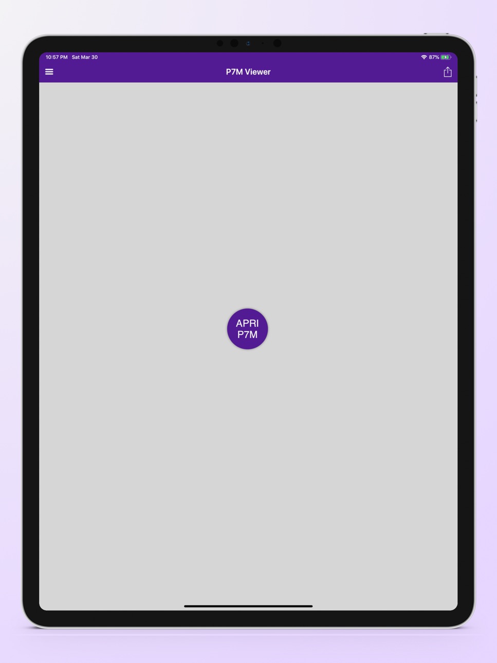 iPad screenshot