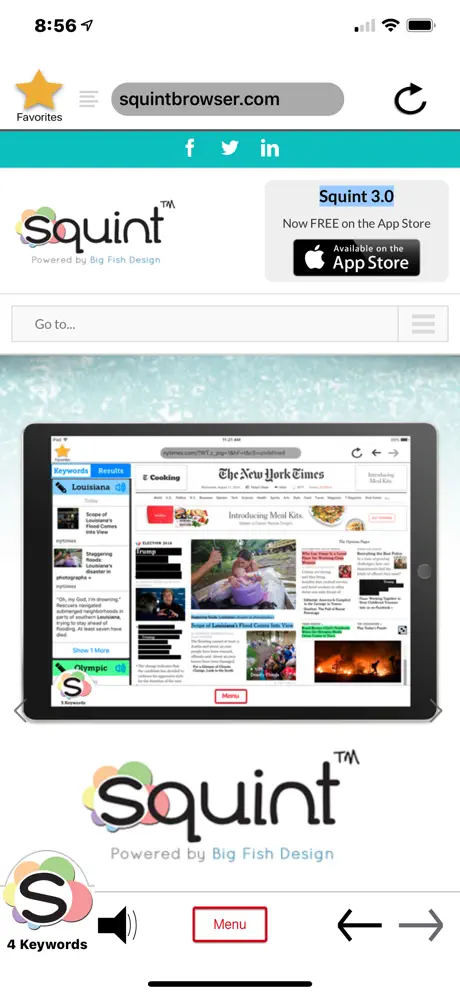 Squint Browser