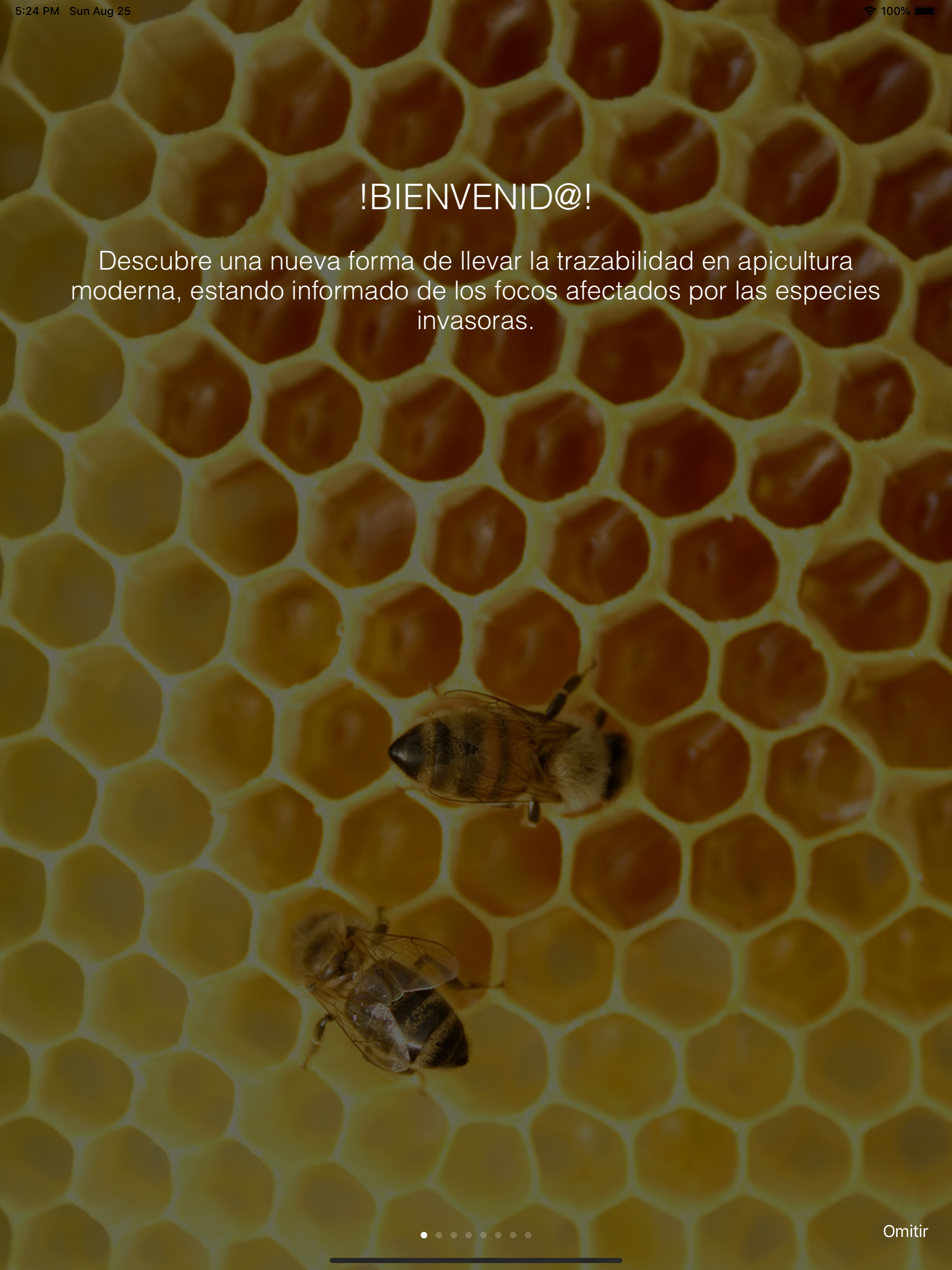 Vespa Velutina screenshot 13
