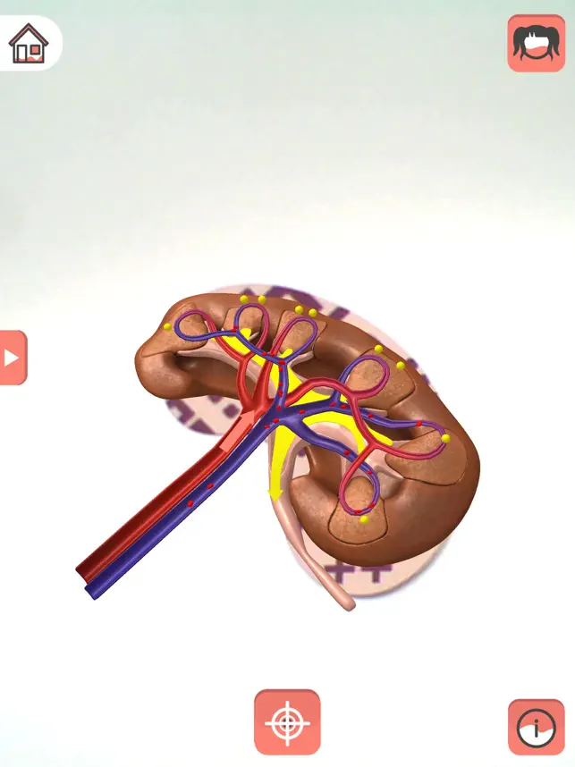 Screenshot 5 Body planet - Amparo iphone