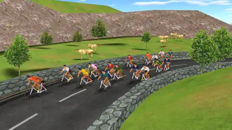 Cycling 2011