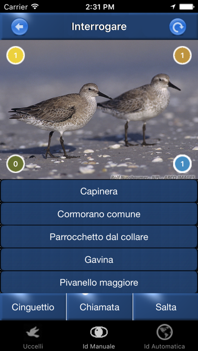 Canzoni d'uccelli Screenshot
