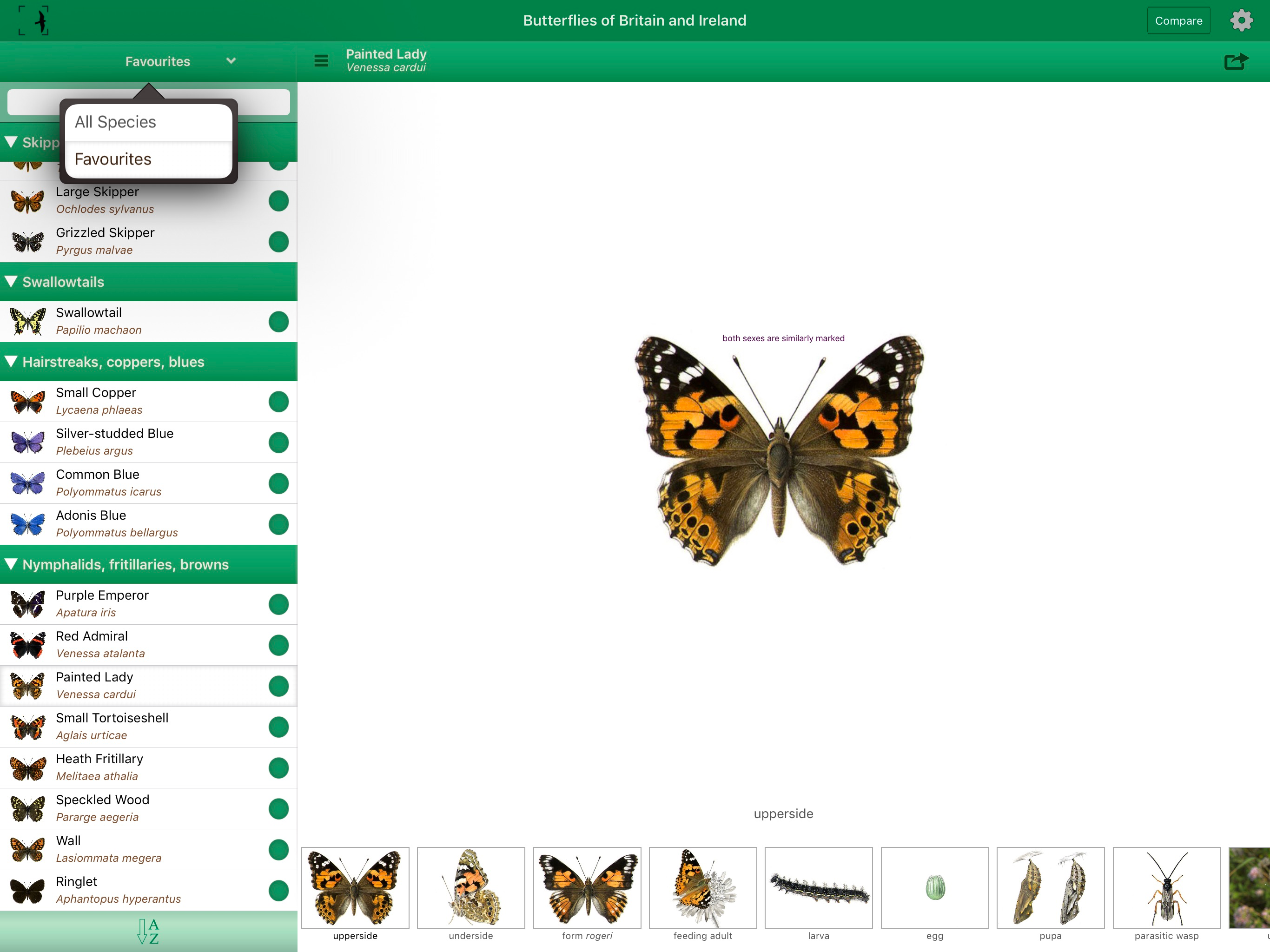 British & Irish Butterflies