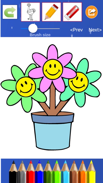 Flower Coloring Drawing book