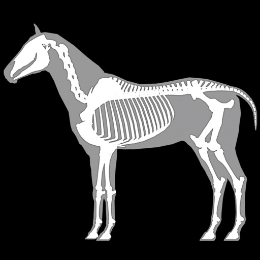 3D Horse Anatomy Software iOS App