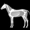 Icon 3D Horse Anatomy Software