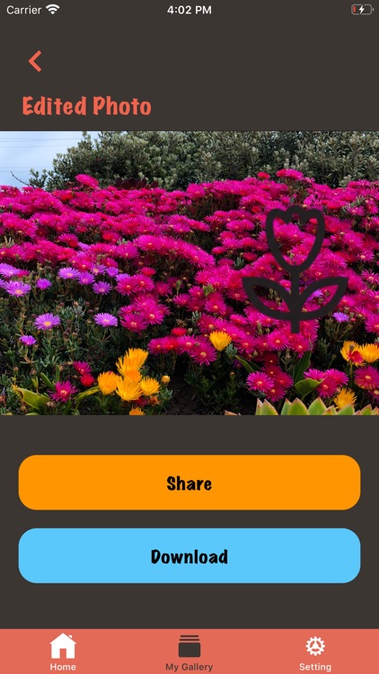 Photo Excel screenshot-6