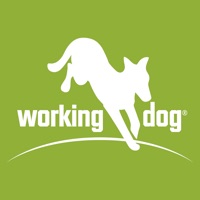 working-dog apk