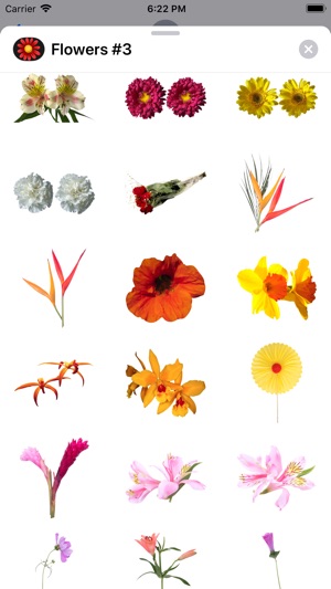 Flower Stickers #3(圖2)-速報App