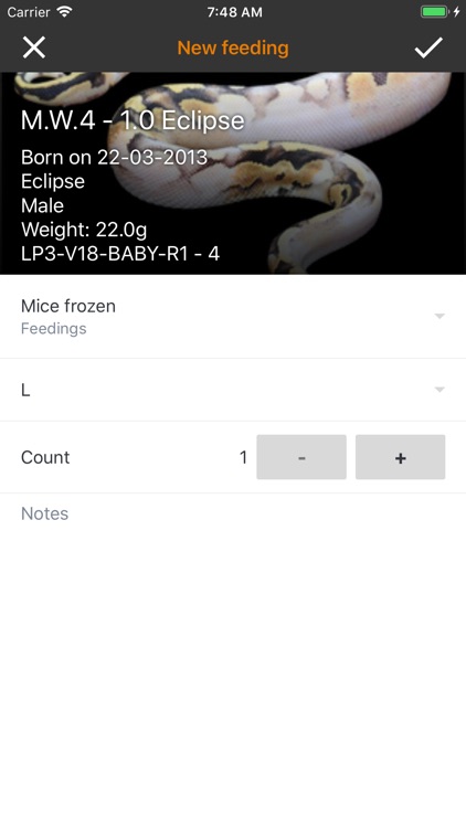 Reptile Scan