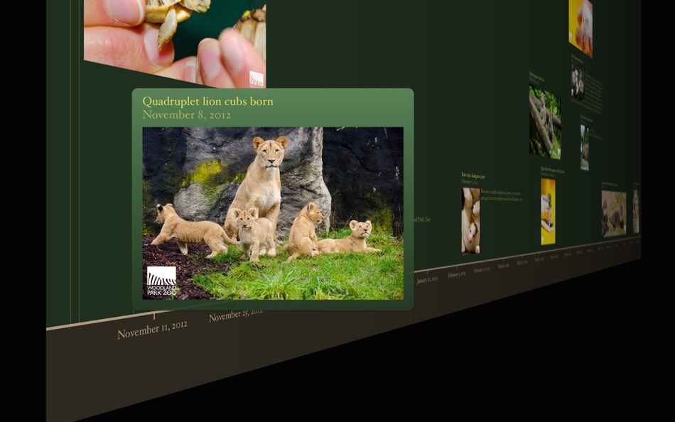 #1. Timeline 3D: Education Edition (macOS) โดย: BEEDOCS