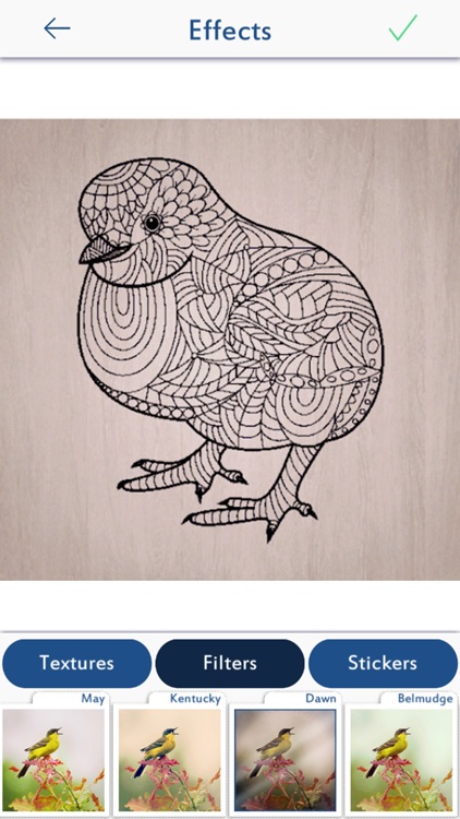 Animal Coloring Pages Games screenshot-4