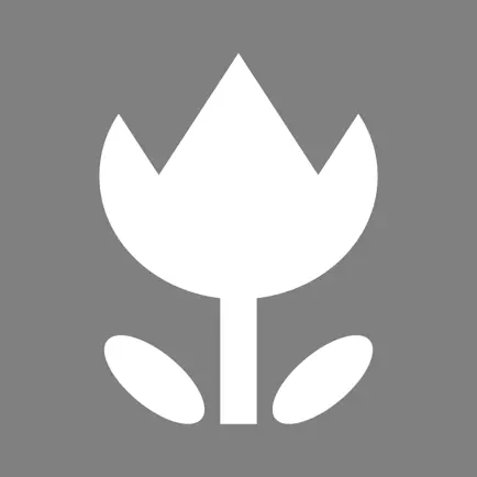 XN Bokeh Camera Читы