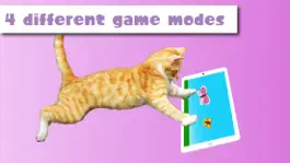 Game screenshot HappyCats Pro - Game for cats hack