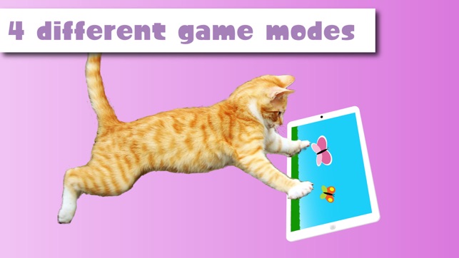 HappyCats Pro - Game for cats(圖3)-速報App