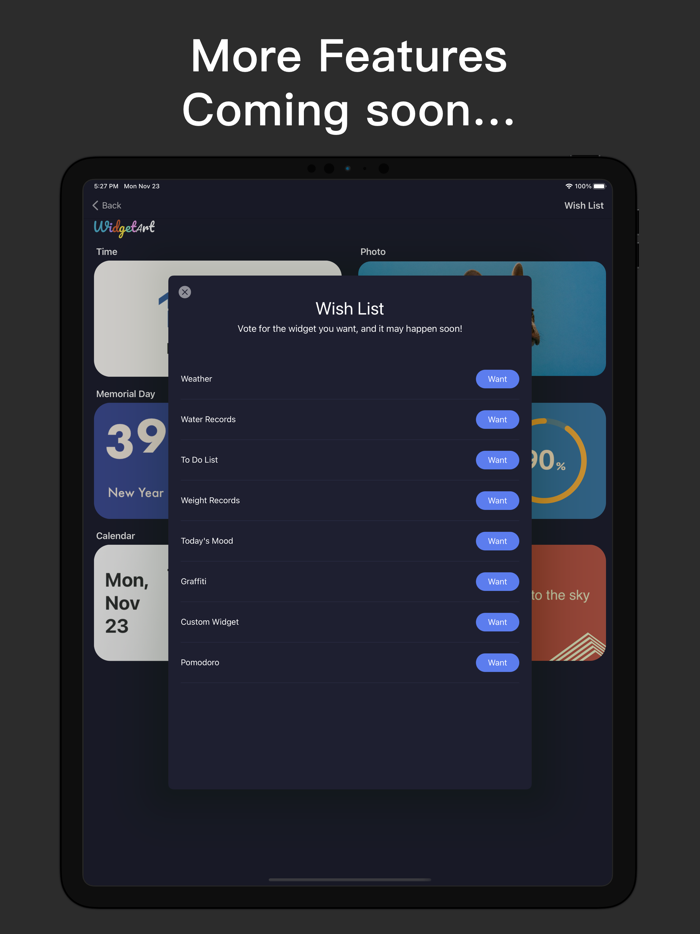 WidgetArtCustom Widget