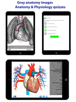 Imágen 10 Visual Anatomy Lite iphone