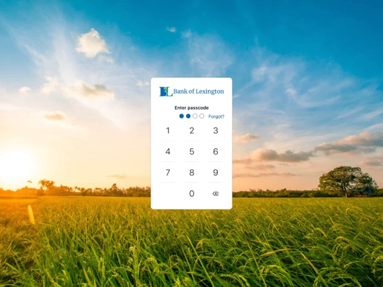 Screenshot #5 pour I Bank with BOL MoBOL