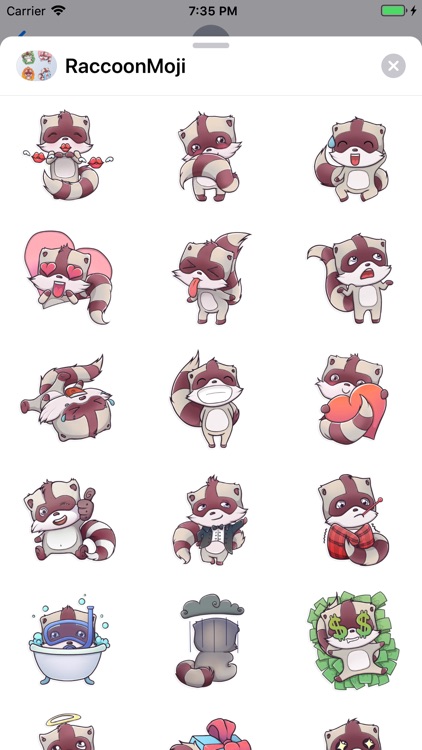 RaccoonMoji - Racoon Stickers