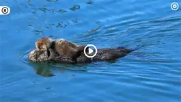 Game screenshot Living Planet hack