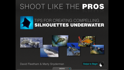 Silhouettes Underwater Screenshot