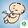 Беременность по неделям KLO icon
