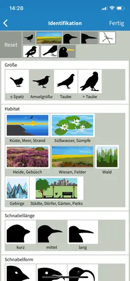 Game screenshot NABU Vogelwelt apk