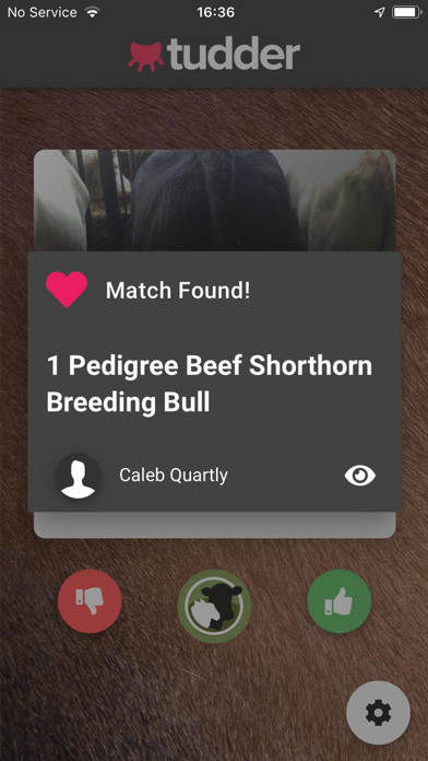 Tudder iPhone screenshot 4 - Business app