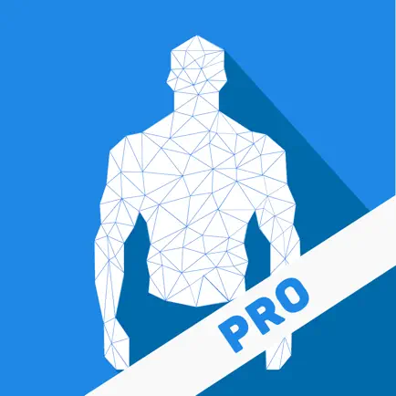 Упражнения со своим весом PRO Читы