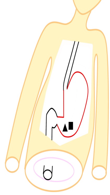 Drアニメ胃(Study Stomach)