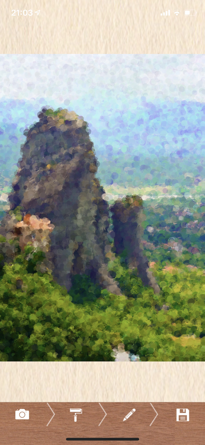 Impressionism Camera