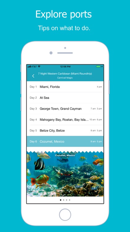 Cruise Picker screenshot-5