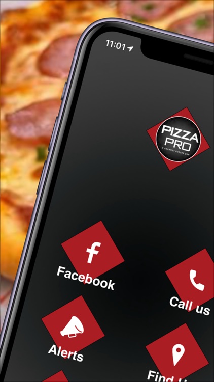 Pizza Pro Belfast