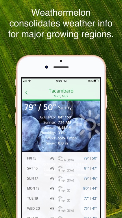 Weathermelon screenshot-3
