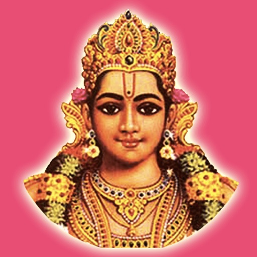 Narayaneeym icon