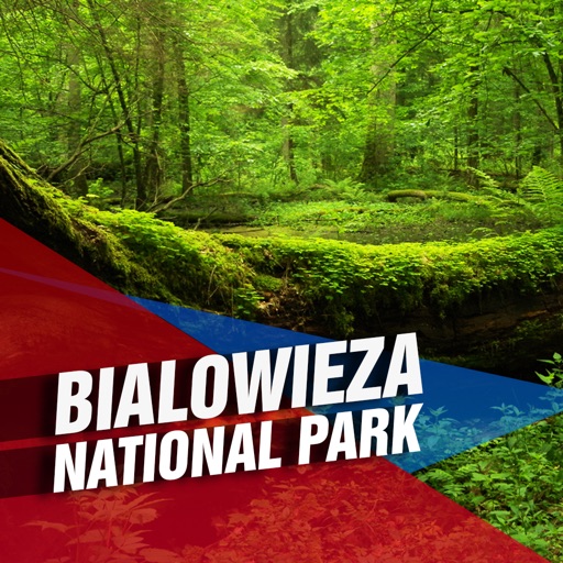 Visit Bialowieza National Park