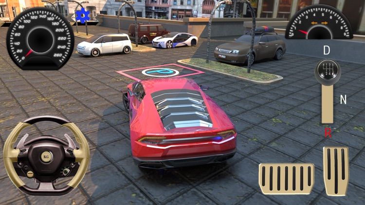 Car Parking - Pro Driver 2021 screenshot-8