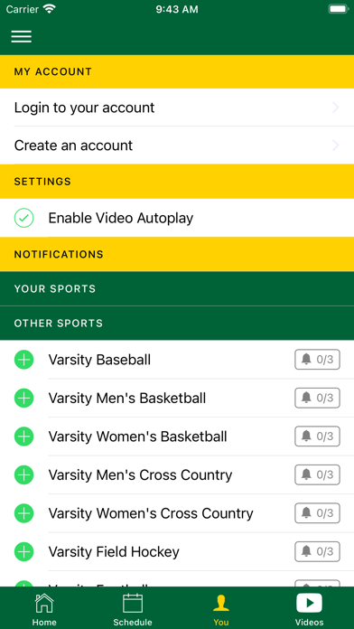 Lindbergh Flyers Screenshot