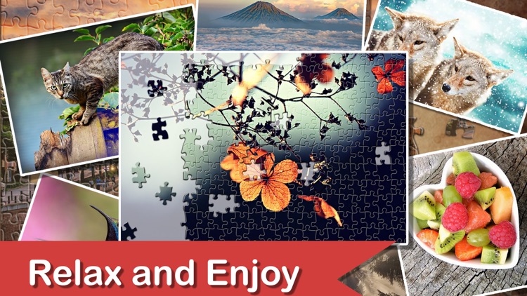 Jigsaw Puzzle Blast screenshot-3
