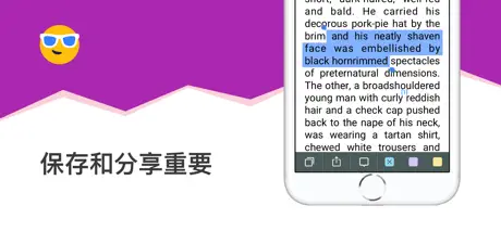 eBoox 阅览器 fb2 ePub