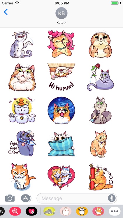 Meme Cats Stickers