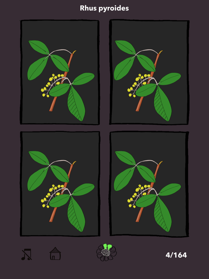#2. The Tree Seasons (iOS) 由: Staf Lemmens
