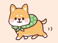 fluffy fat Shiba2